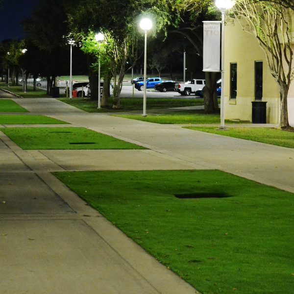 NEWS: Campus switches grass portions to artificial turf