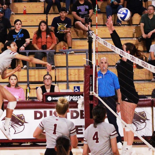 SPORTS: Dustdevils faces unfortunate loss against Falcons